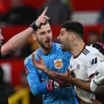 Marco Silva and Mitrovic both apologize to referee Chris Kavanagh