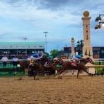 Kentucky Derby champ to run on May 20