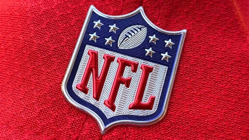 NFL investigated by two US states over sex bias and harassment