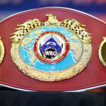 WBO announces six new members in its ranks