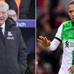 Roy Hodgson blames van Dijk for contributing to Ayew’s red card