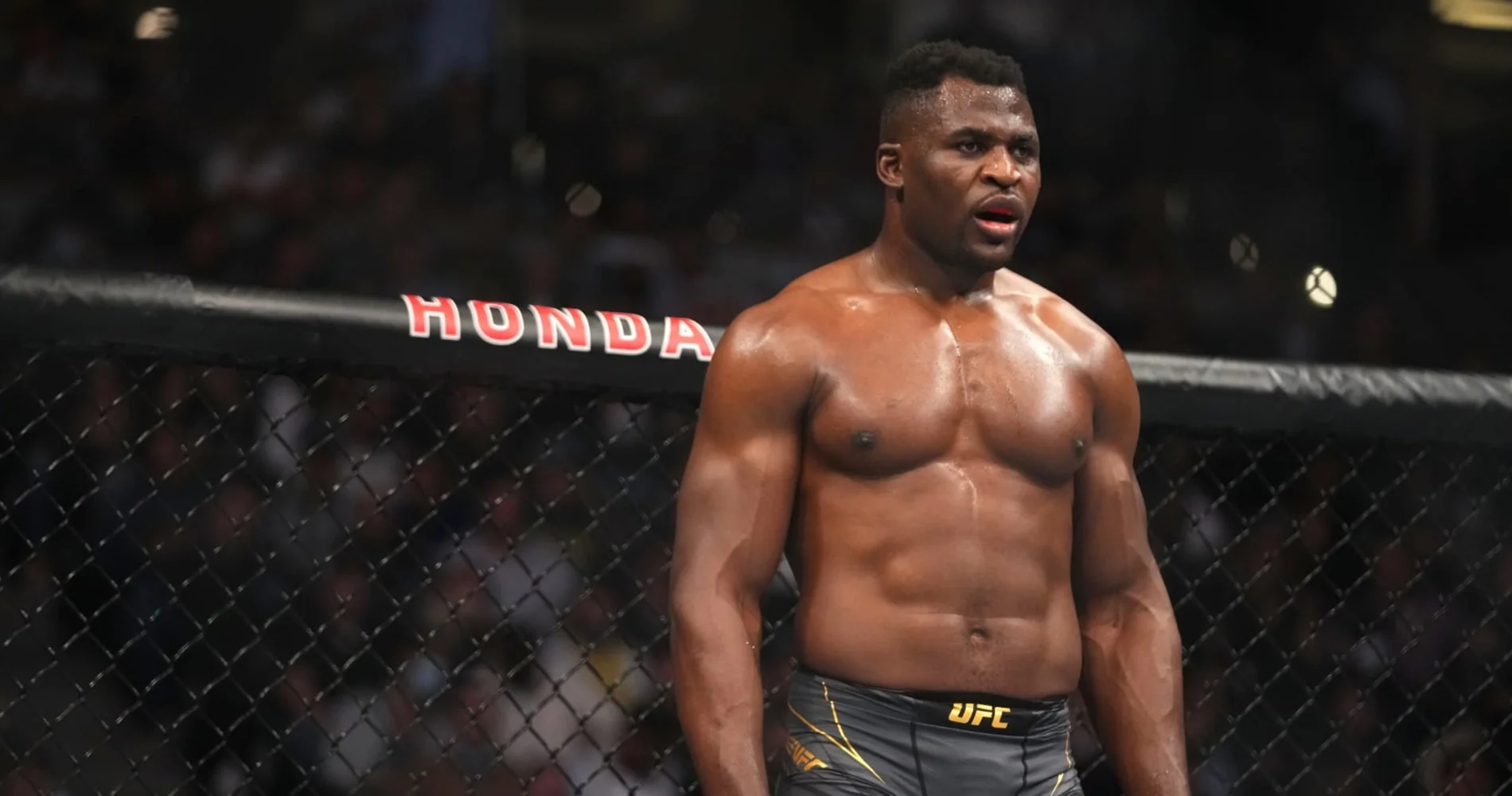 Ngannou to return in MMA on October 19 fight against Renan Ferreira