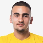 S. Nedić