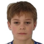 N. Godec