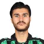Y. Çelik