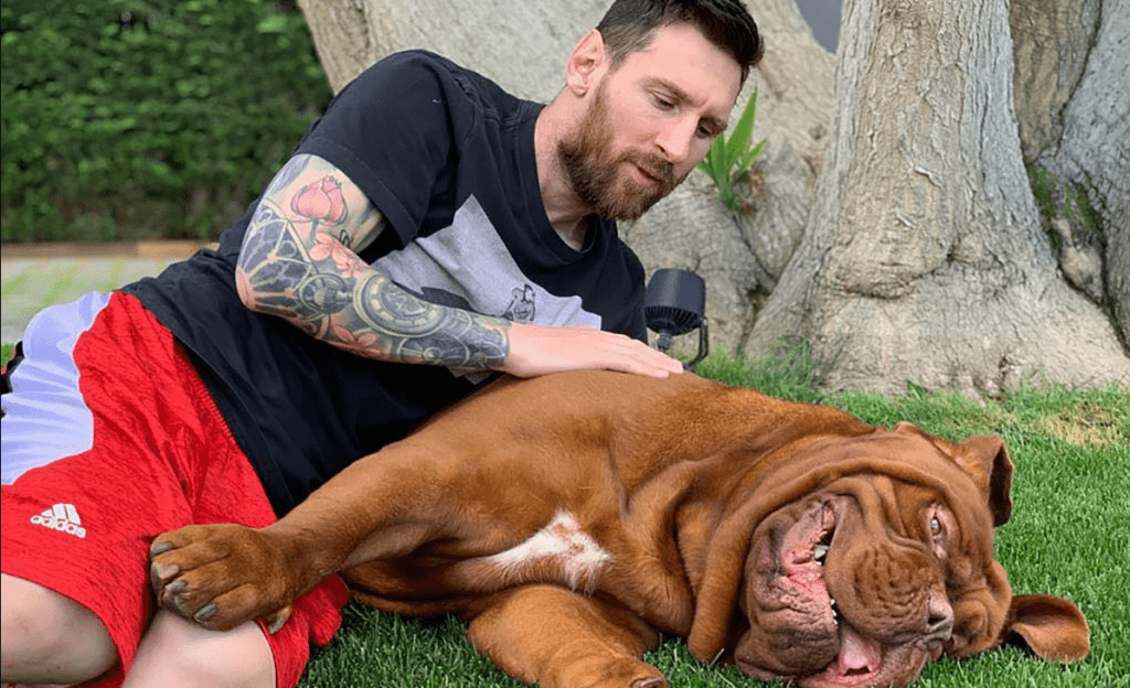 Домашните любимци на футболните звезди СНИМКИ