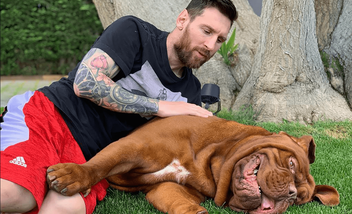 Домашните любимци на футболните звезди СНИМКИ width=