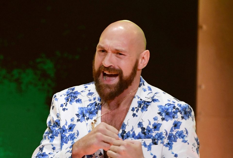 Фюри полудя: Пулев и Джошуа са двойка п***и width=