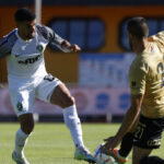 Петричев: Панатинайкос знаят колко струва Каули