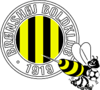 club logo