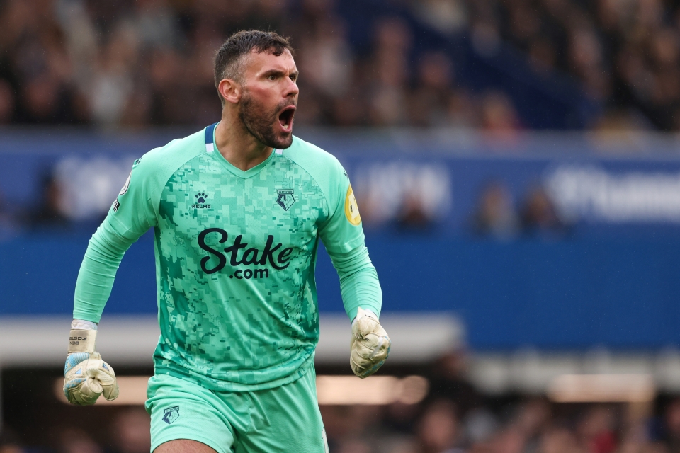 Легендарен вратар на Острова сложи край на кариерата си