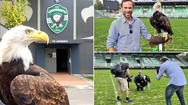 УЕФА снима специален филм за орлицата на Лудогорец