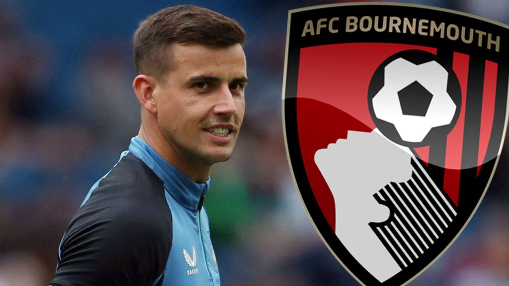 Борнемут иска вратар на Нюкасъл