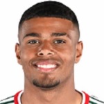 Ф. Енджорин