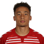 М. Таверние