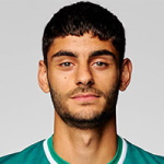 Ерен Динкчи