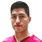 L. Ali