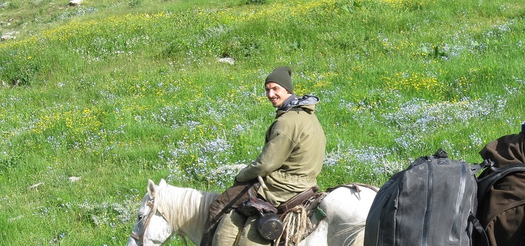 Дивото зове: Ибрахимович си купи гора в Швеция (ВИДЕО)