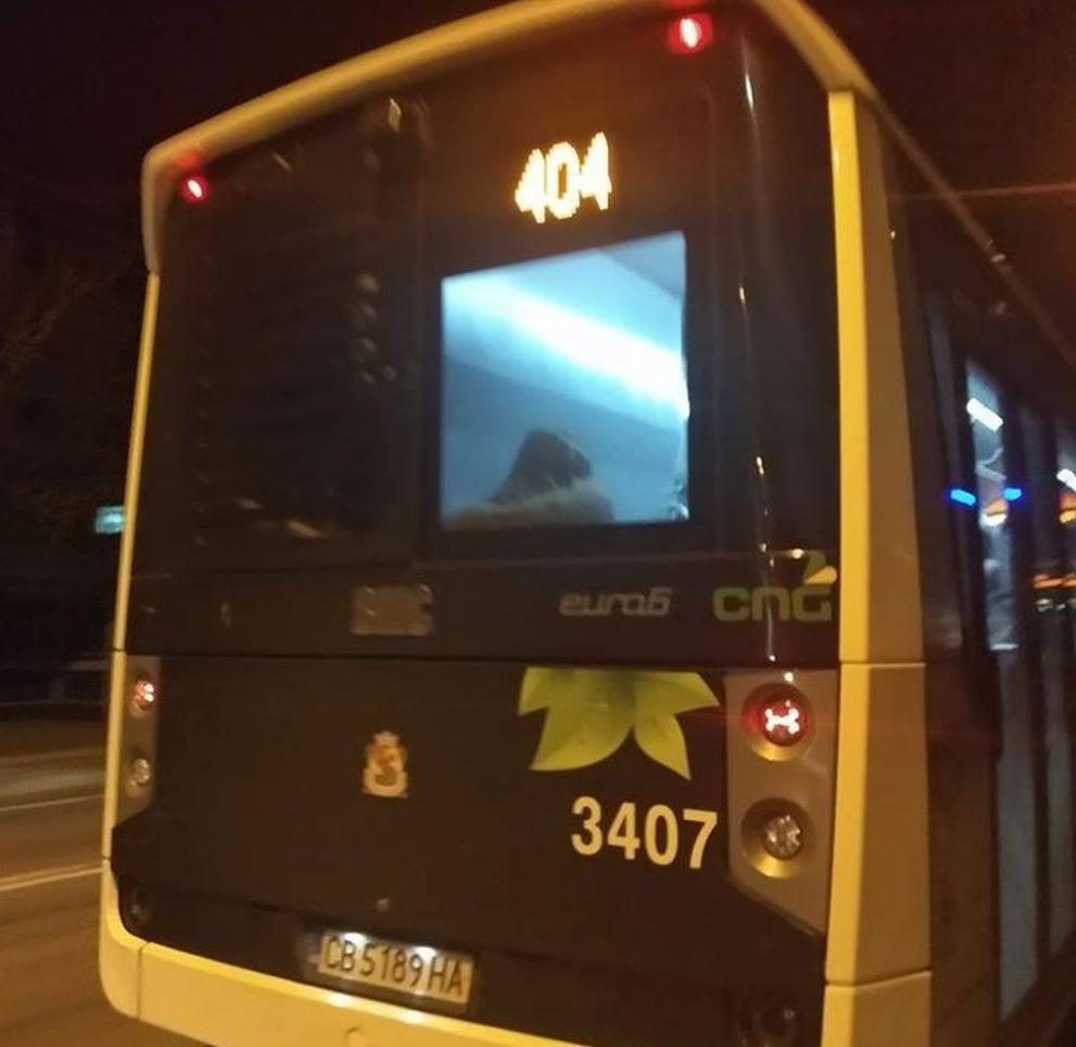 Проговори треньорът на нападнатото заради екип на ЦСКА дете